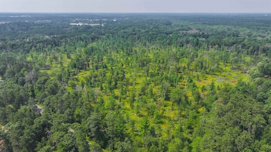 44.59 Acres Brilowski Rd, Stevens Point, WI 54482 - photo 3