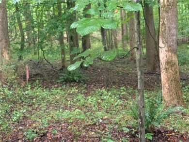 Level wooded lot with a very gentle slope.