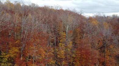 39 Grimes Rd, Lyndon, VT 05851 - photo 4