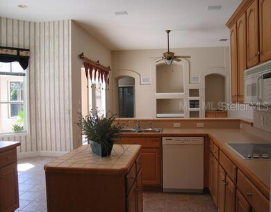 2101 Kane Park Way, Windermere, FL 34786 - photo 4