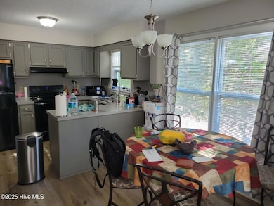 106 W Victoria Ct unit D, Greenville, NC 27834 - photo 6