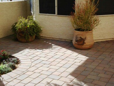 More of front courtyard