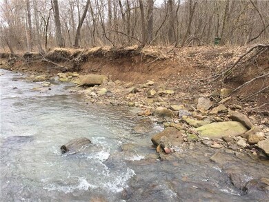 0 S 295 Hwy unit 1138449, Crosses, AR 72727 - photo 4