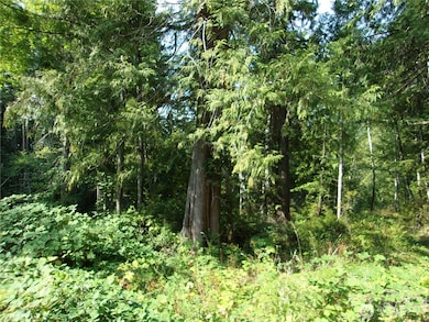 0 Yashi Rd unit NWM2428983, Brinnon, WA 98320 - photo 2