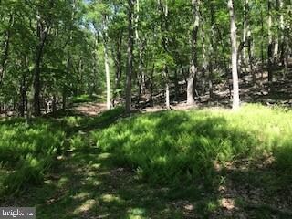 0 O Short Rd unit WVHD105066, Baker, WV 26801 - photo 5
