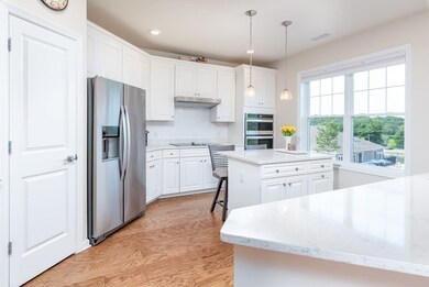 11 Peters Farm Way unit 113, Westborough, MA 01581 - photo 3