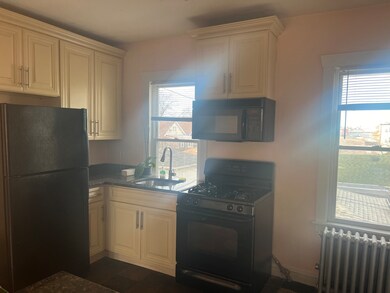 5510 W Barry Ave unit 2, Chicago, IL 60641 - photo 6