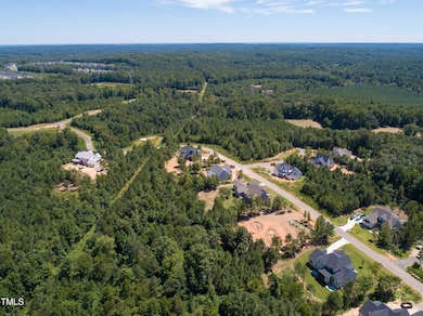 236 Emelia Ln, Fearrington, NC 27312 - photo 3