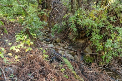 4 Old Mill Ave, Lompico, CA 95018 - photo 3