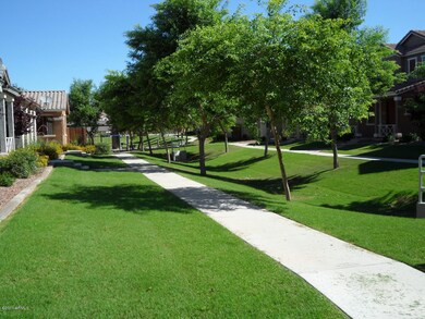 green common ground beside home