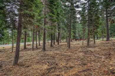 9270 Brae Rd, Truckee, CA 96161 - photo 5