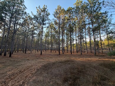 0 County Road 1156, Troy, AL 36079 - photo 2