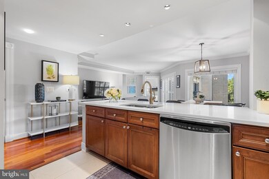 Residences at Park Place unit 532, Annapolis, MD 21401 - photo 7