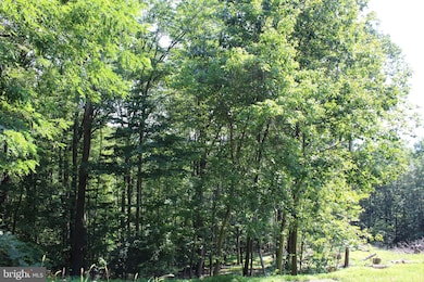 1507, 1505, 1503, 15 Summit Dr, Bull Run Mountain Estates, VA 20169 - photo 4