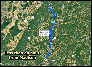 madison to lex 80
