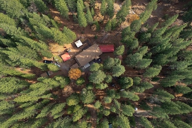 58882 Little Long Valley Creek Rd, Cromberg, CA 96103 - photo 3