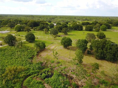 0 Wgto Tower Rd, Lake Alfred, FL 33850 - photo 3