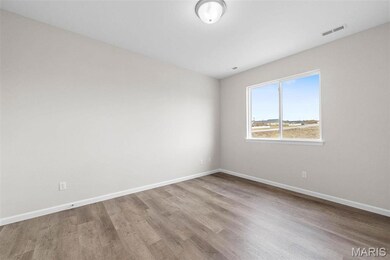 893 Walter Way, Washington, MO 63090 - photo 4