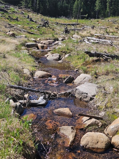 7524 Lower Telegraph Creek Rd, Elliston, MT 59728 - photo 3