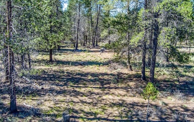 0, La Pine, OR 97739 - photo 3