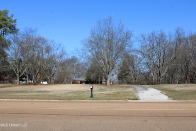 8568 Goodman Rd, Olive Branch, MS 38654 - photo 6