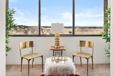 250 Hammond Pond Pkwy unit 1608S, Chestnut Hill, MA 02467 - photo 7