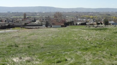 Views from Lot 8