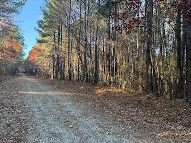 Lot 11 Woods Rd, Seagrove, NC 27341 - photo 7