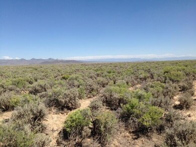 barry martinez land pic 1