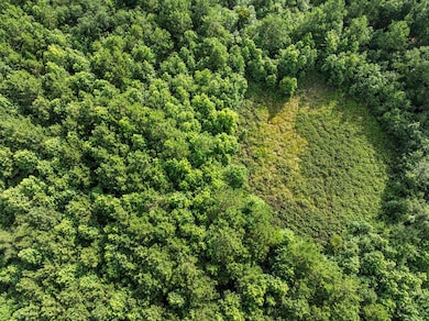 0 Oakville Rd unit 25032033, Hollywood, SC 29449 - photo 4