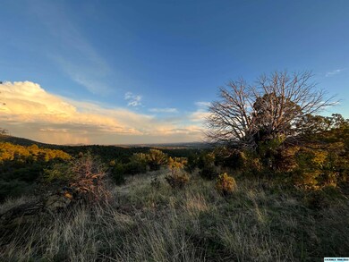 45 Rachel Rd, Silver City, NM 88061 - photo 6