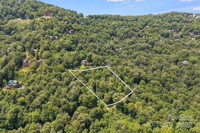 16 Mountain Gait Dr unit 16, Mars Hill, NC 28754 - photo 5