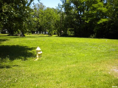 1208 W Raymond St, Harrisburg, IL 62946 - photo 3