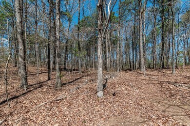 Lot 16 Country Hills Rd, Ellijay, GA 30540 - photo 3