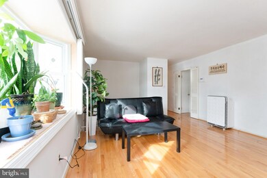 10210 White Ave, Clinton, MD 20735 - photo 6