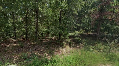 Watauga Ln Cherokee Village unit AR 72529, Cherokee Village, AR 72529 - photo 3