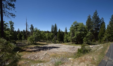 42302 Opal Dr unit lot72, Shaver Lake, CA 93664 - photo 4