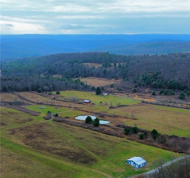 296 Hugg Rd, Elmira, NY 14901 - photo 4