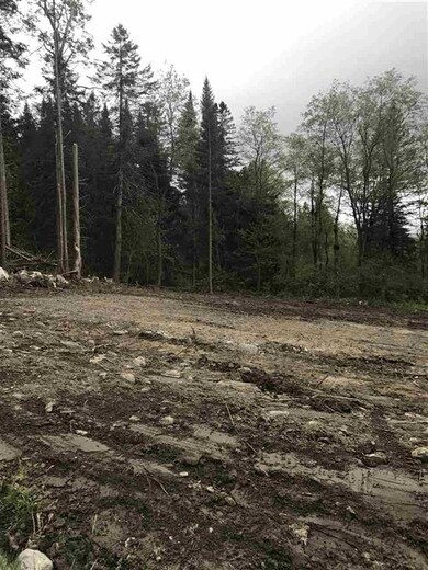 0 Town Line Rd unit 4814957, Colebrook, NH 03576 - photo 3