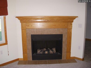 Electric Fireplace!