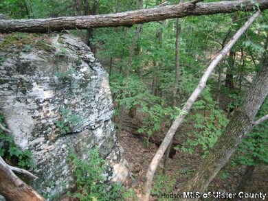 00 W Saugerties Woodstock Rd, Woodstock, NY 12498 - photo 6