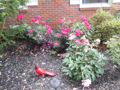 205 Cloverdale Rd, Shelbyville, TN 37160 - photo 5