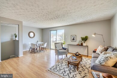 4026 Beltsville Rd, Beltsville, MD 20705 - photo 7