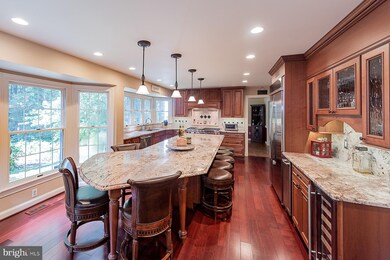 12113 Blue Flag Way, Columbia, MD 21044 - photo 7