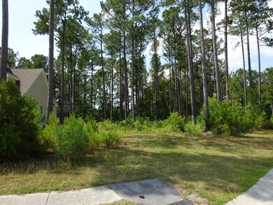 203 Canaan Ct, Jacksonville, NC 28546 - photo 3