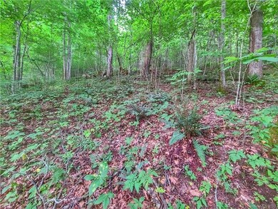 9999 Fox Creek Rd unit 13, Mars Hill, NC 28754 - photo 2