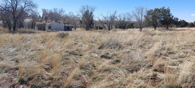 51981 Highway 491 Hwy, Cahone, CO 81320 - photo 4