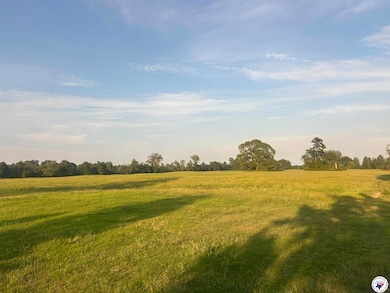 132 Private Road 1108, Fouke, AR 71837 - photo 3