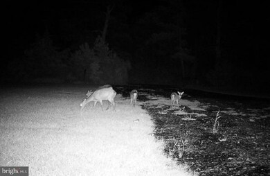 2416 Asquith Island Rd, Crapo, MD 21626 - photo 4