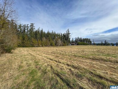 398 Daisey King Rd, Sequim, WA 98382 - photo 7